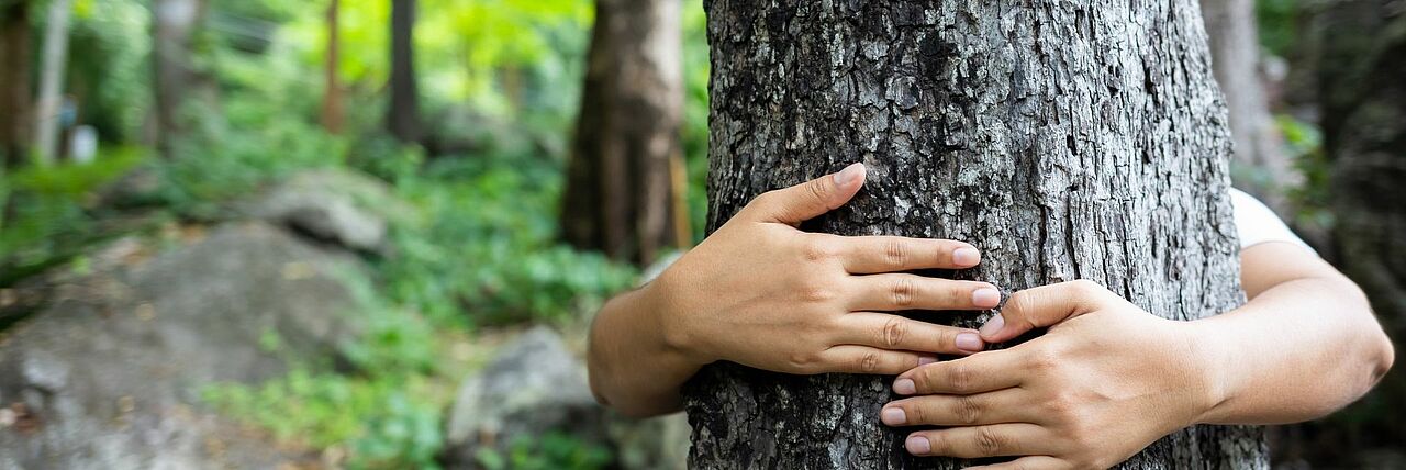 Hände umschließen einen Baum
