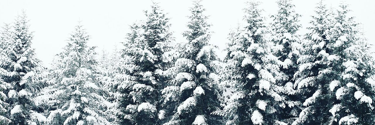 Winterlandschaft
